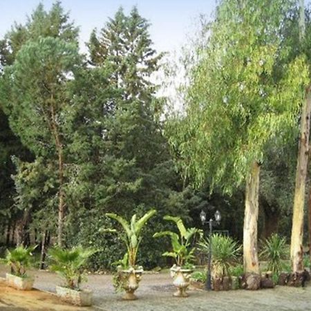 Villa Mado Ceglie Messapica Exterior foto