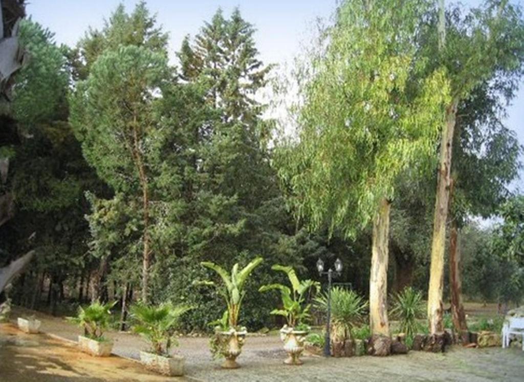 Villa Mado Ceglie Messapica Exterior foto